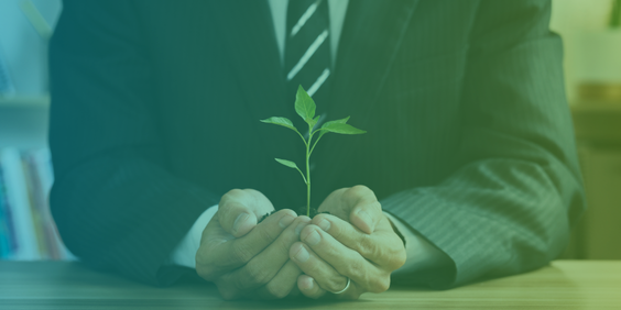 Wat betekent duurzaamheid en ESG voor jouw MKB-onderneming?